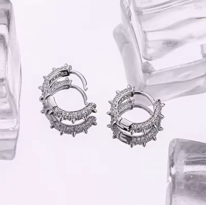 Hovedbilde Penny Earring 925 Silver