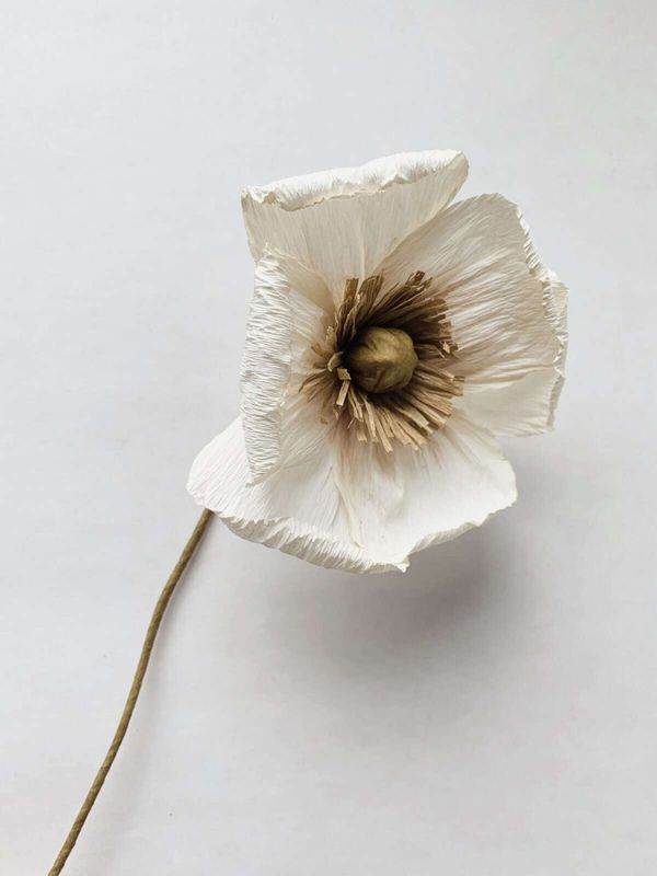 Papirblomst valmue 30 cm hvit