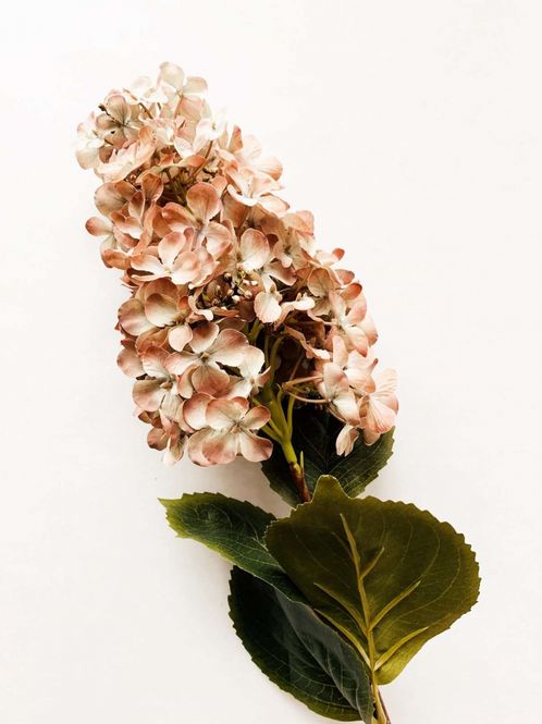 Hovedbilde Syrinhortensia 80 cm støvet rosa