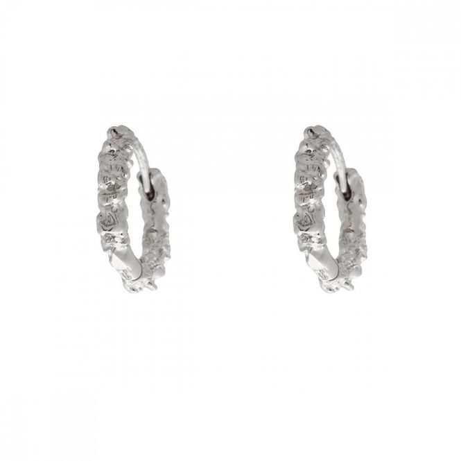 Hovedbilde Denver ear silver