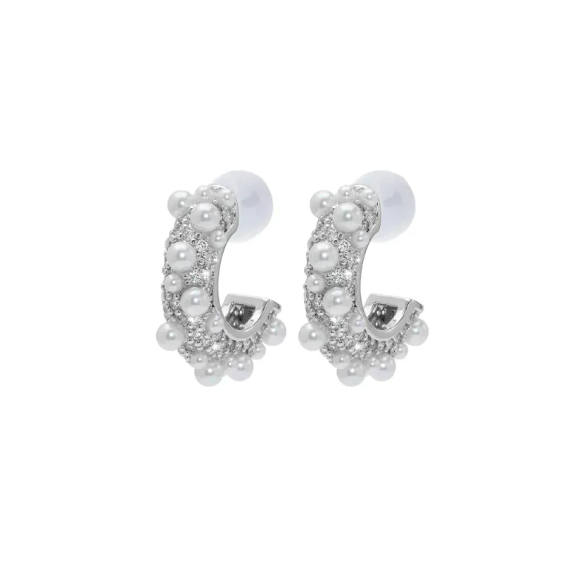 Ear 831 silver Clear