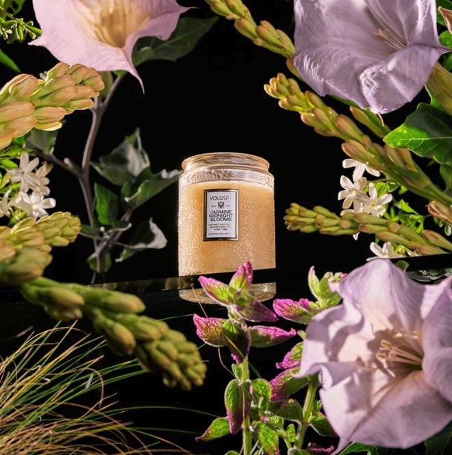 Hovedbilde Voluspa Small Jar Jasmine Midnight Blooms