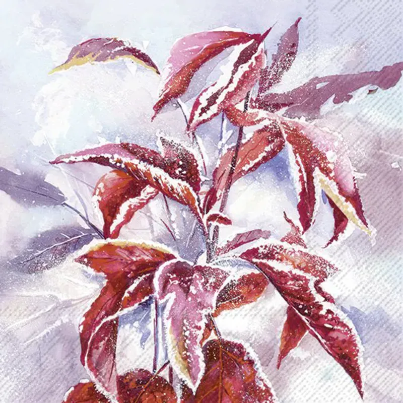 Frosty Branch