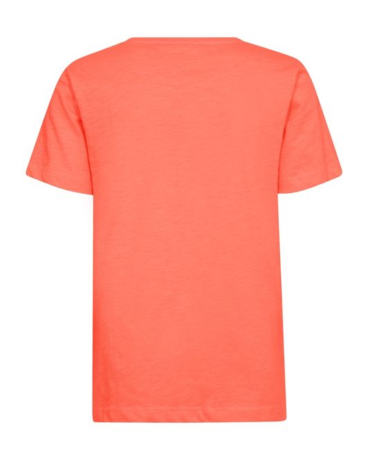 Hovedbilde FQVIVA-TEE