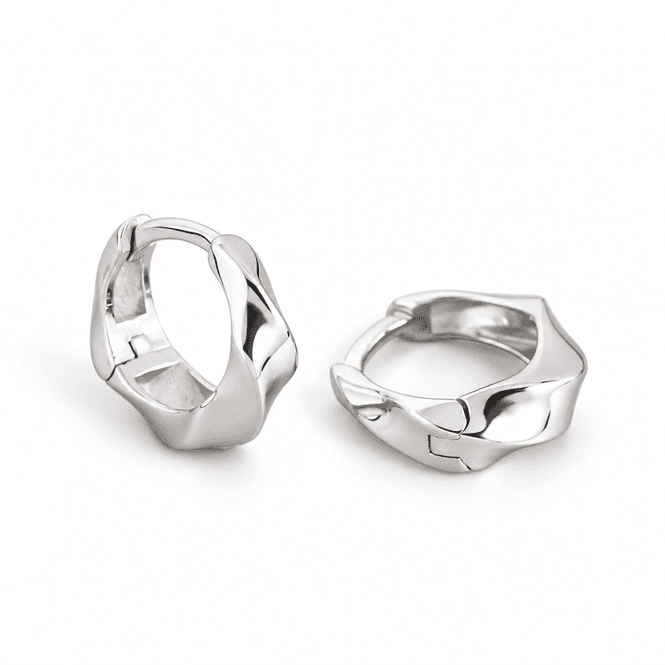 Hovedbilde Vilja Earrings 925 Silver
